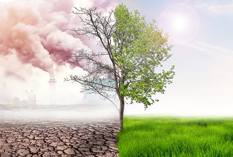 Environmentální analýzy v Revitu